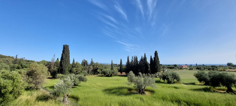 Villa Elaionas 1