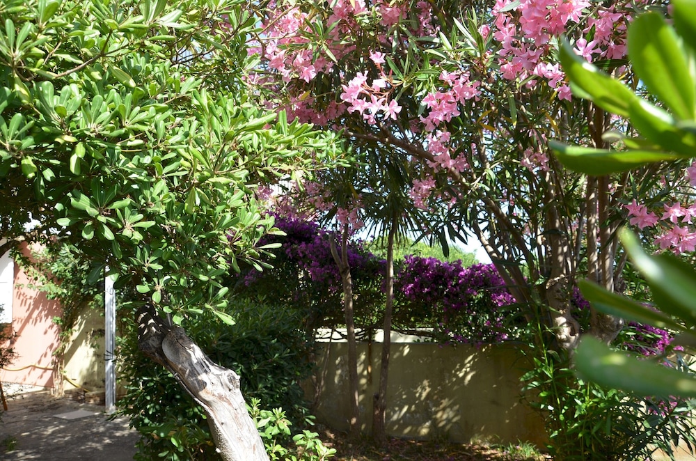 Photo 26