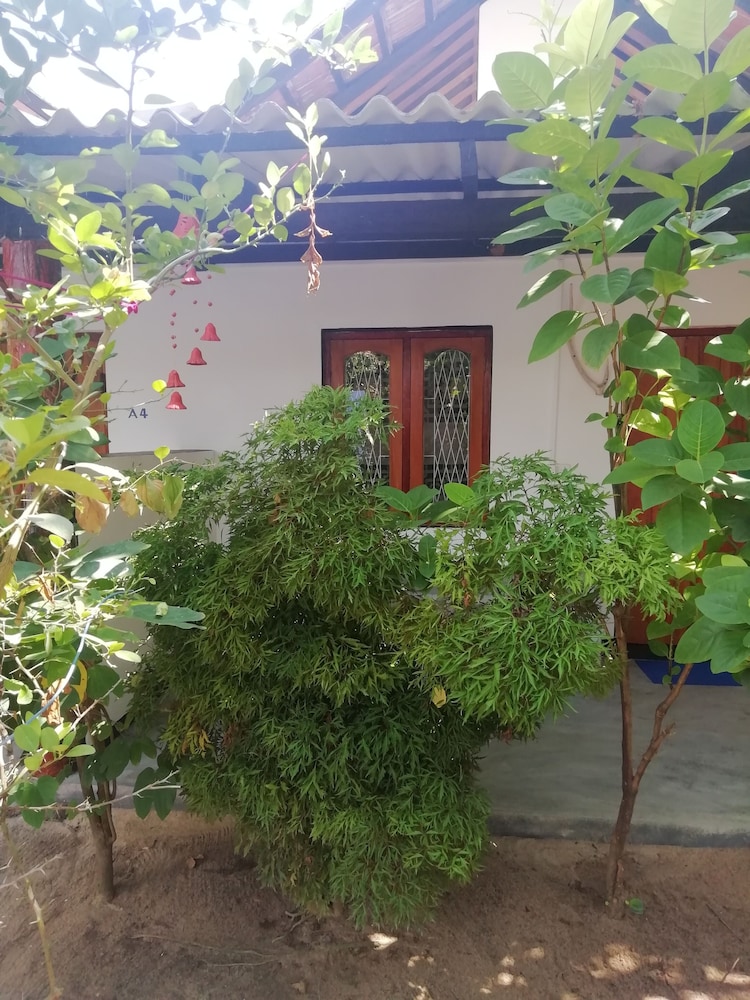 Photo 43