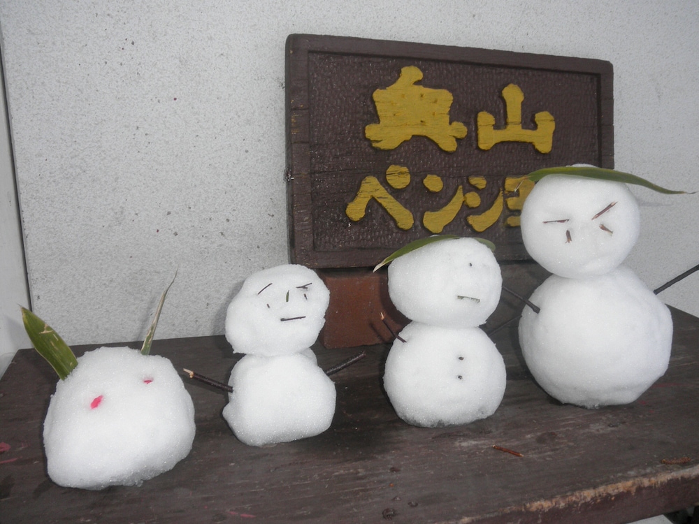 Okuyama Pension Radish view 2