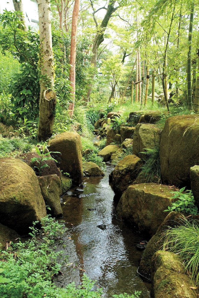 Mars Garden Wood Gotemba