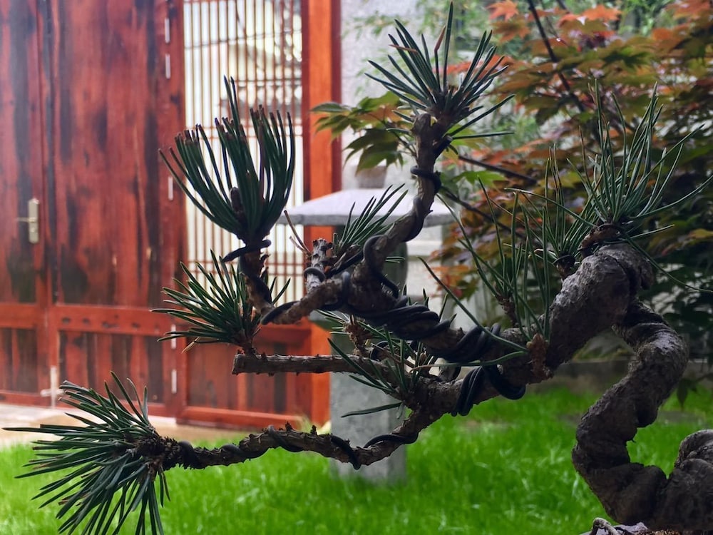 Bo Nan Homestay