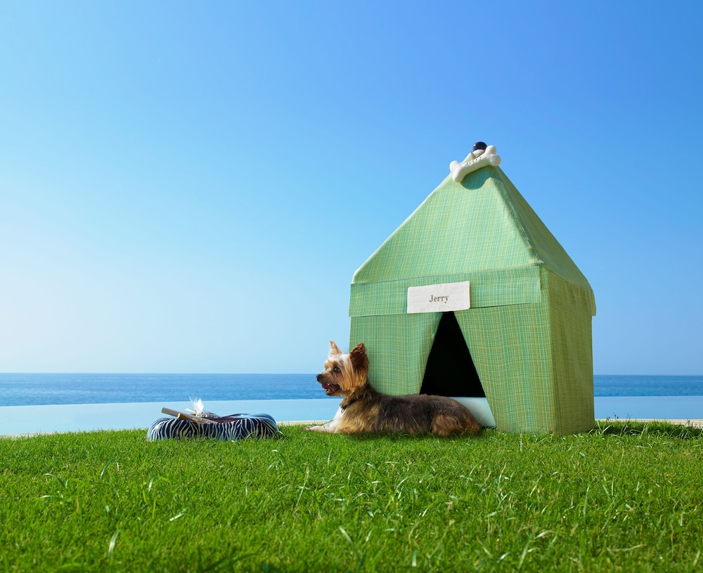 Los Cabos Vacations - Las Ventanas al Paraiso, A Rosewood Resort - Property Image 85