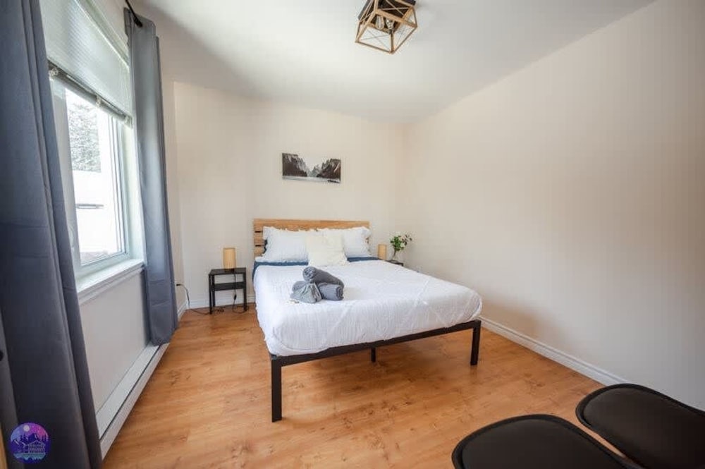 Sommet- Pet Friendly- Spa- SKI IN SKI OUT St-c me
