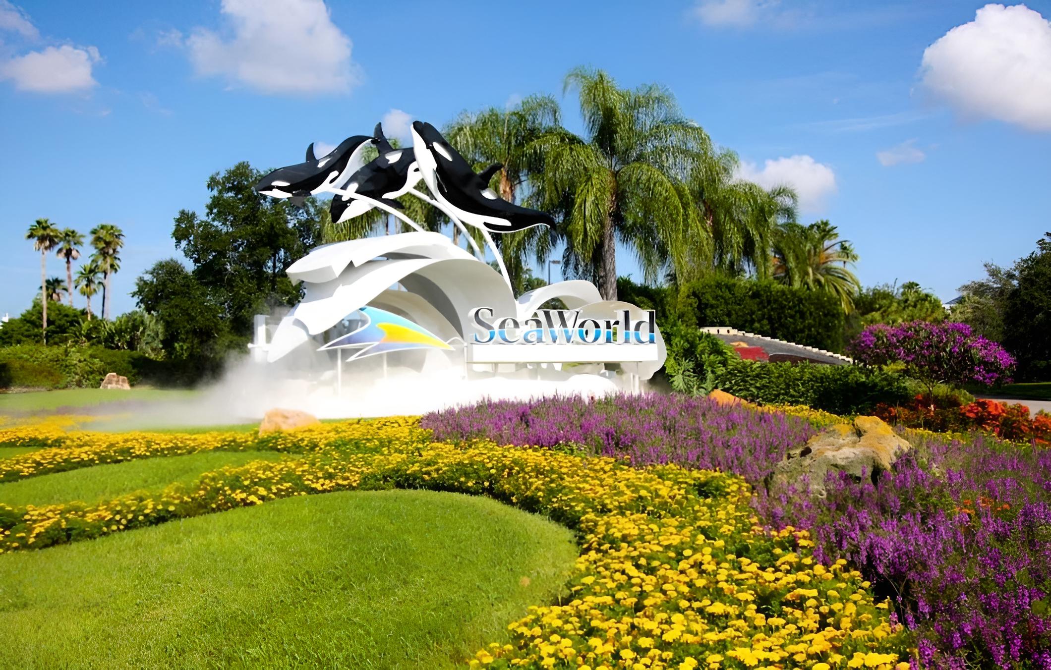 1010 Bella Vida - Image 4