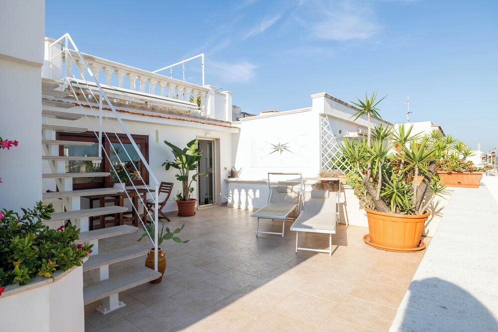 Viesthouse photo 5