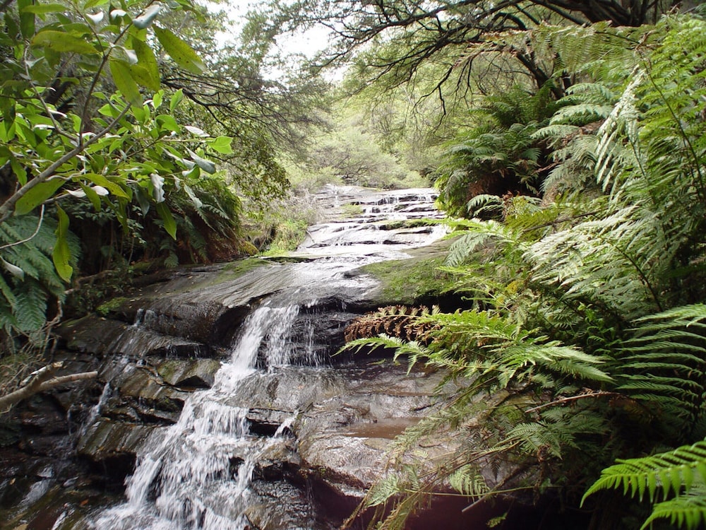 Little Haven Leura Cottage With Spa Bath and BBQ