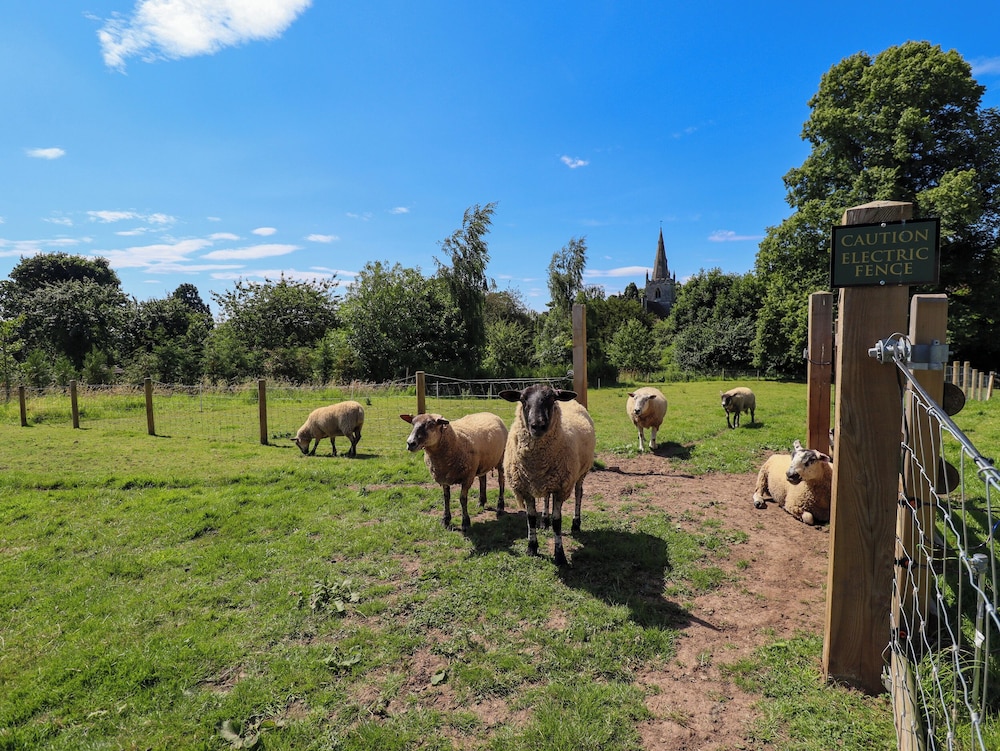 Limetree Luxury Glamping Portland