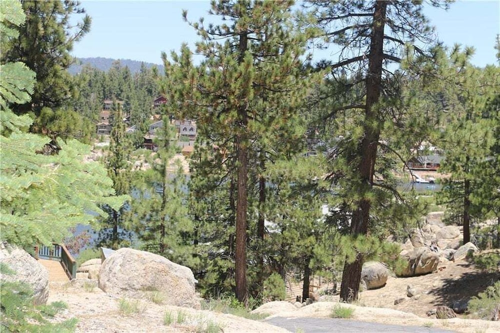 Boulder Bear