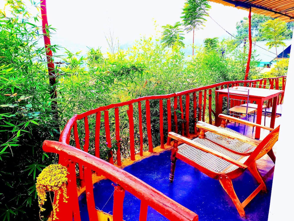Adannz view
