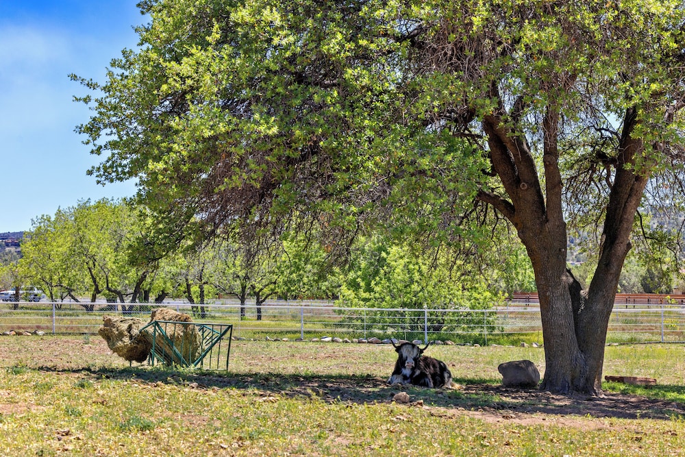 Zebra Retreat Compound