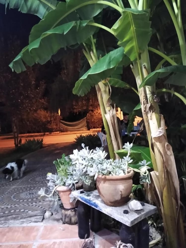 El Castillito