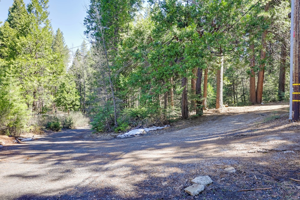 Stay Near Big Trees, Bring Your Pets: Arnold Cabin