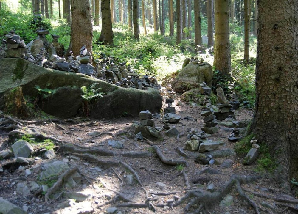 Harz-kurzurlaub in Lonau
