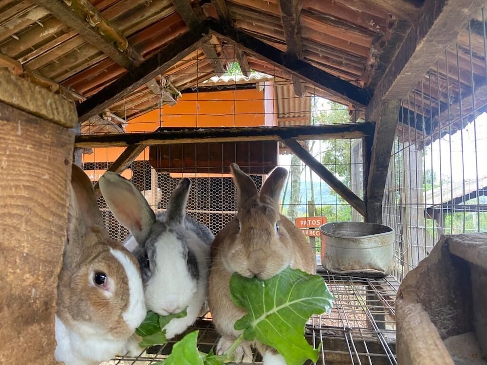 Pousada Maibe Amanhecer na Serra