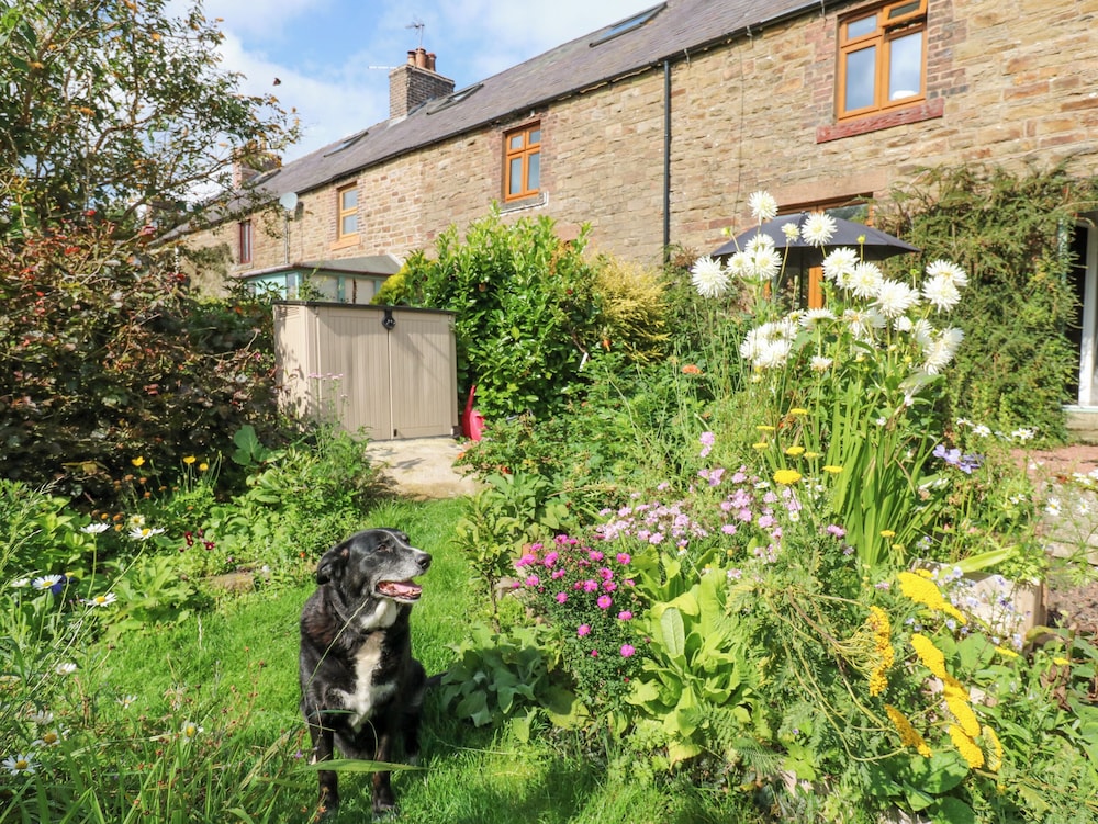 3 Tindale Terrace