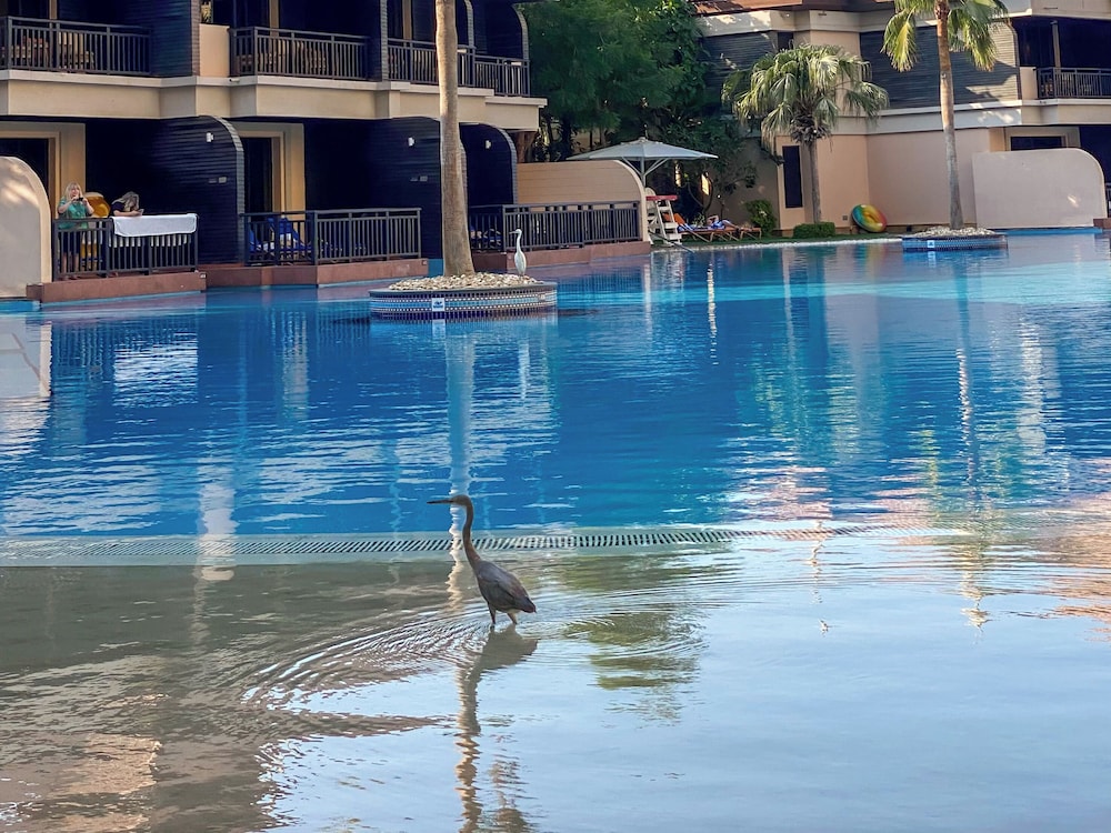 Resort Apartments - Royal Amwaj South