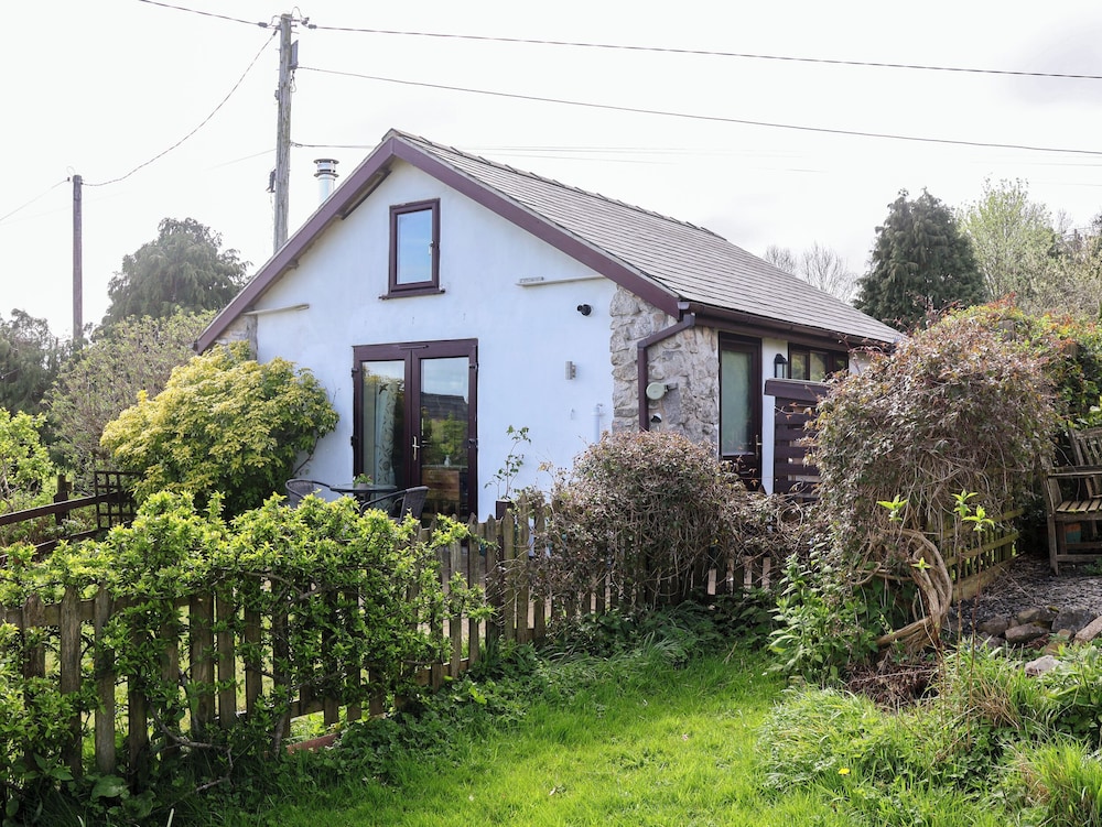 Dolphin Bach, photo 26
