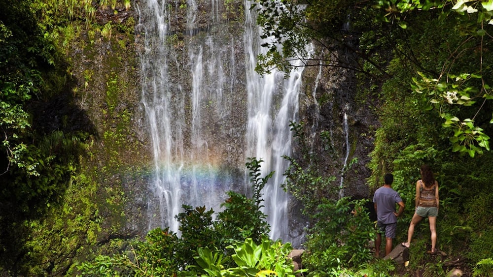 Punahoa 202 in Kihei