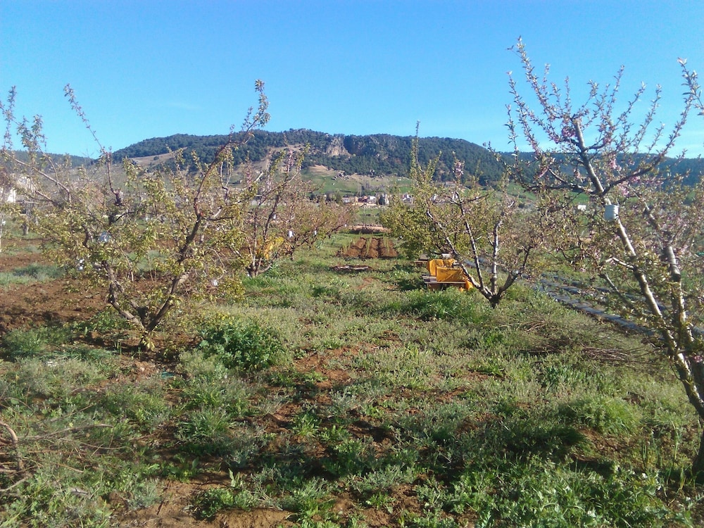 Les Jardins D'Azrou