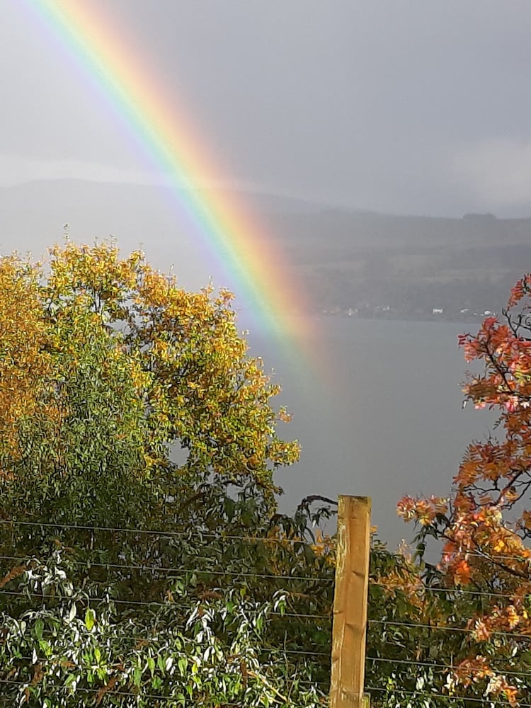 Off Grid 1-bed Cabin, Pets Ok, 20 Mins to Dunoon view 5
