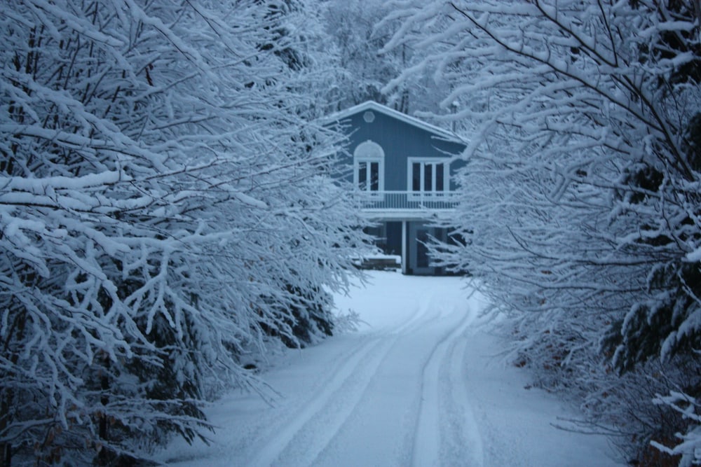 Chalets & Studios Le Vent du Nord