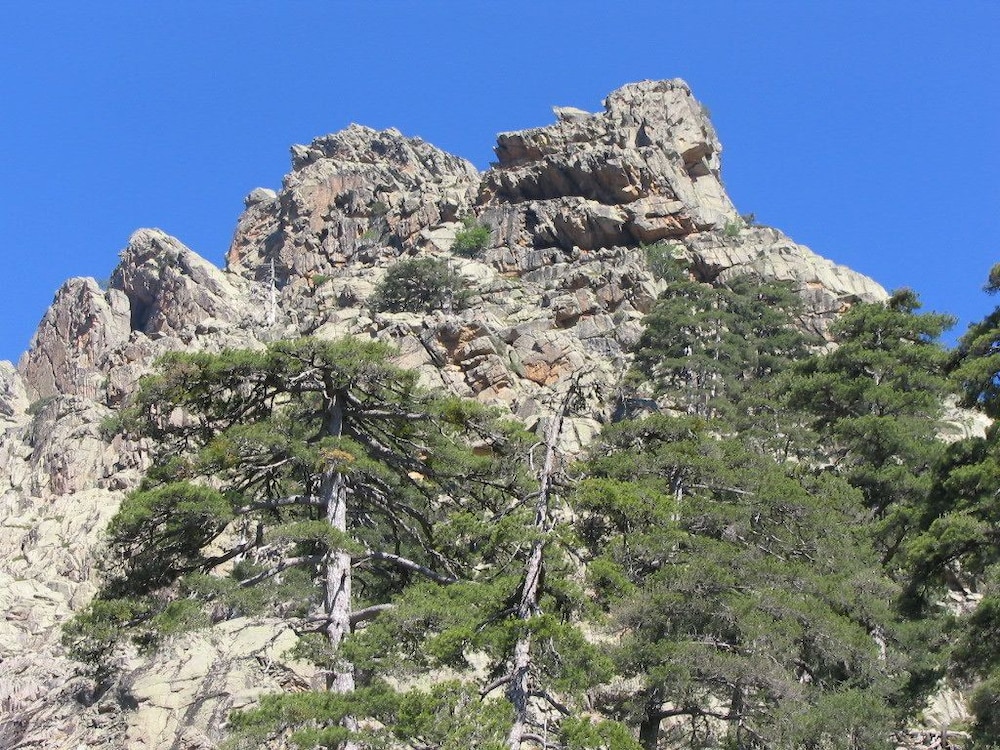 Photo 43