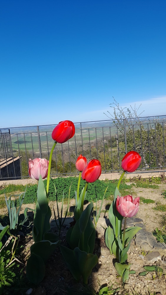 Agriturismo La casella