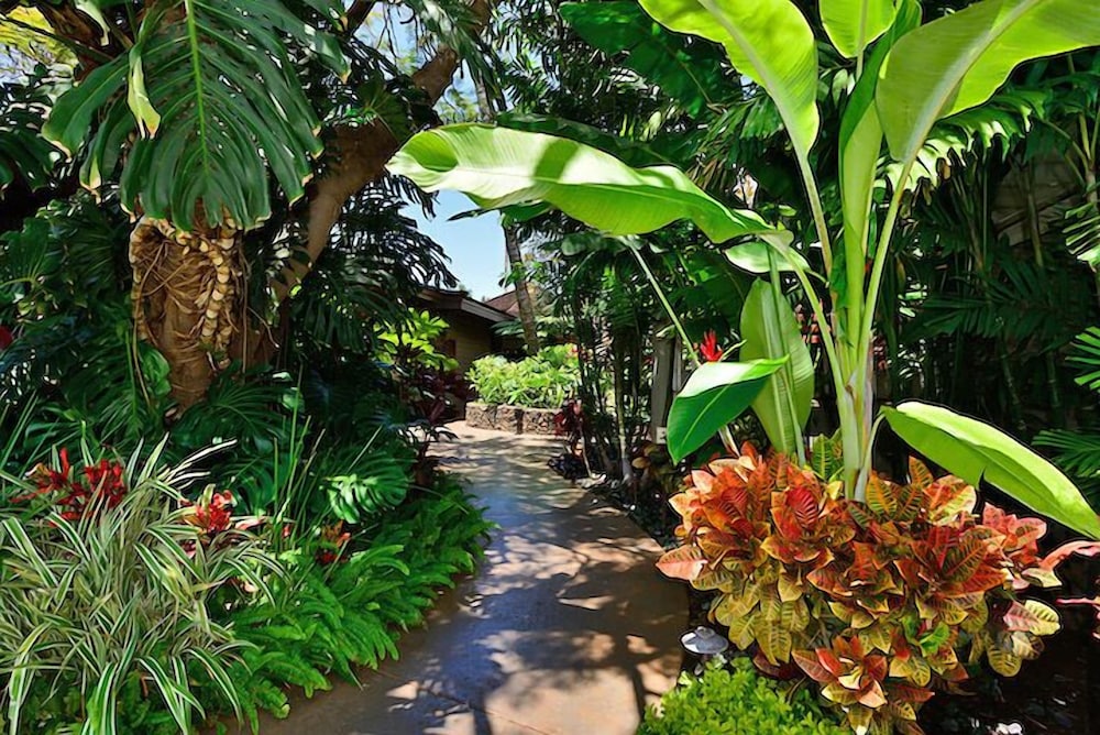 Aina Nalu #i109 2 Bedroom Condo by RedAwning