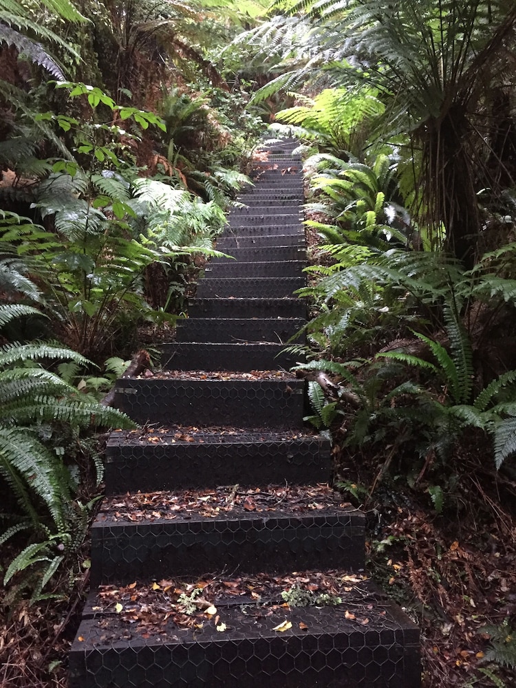 Waitutu Forest Lodge