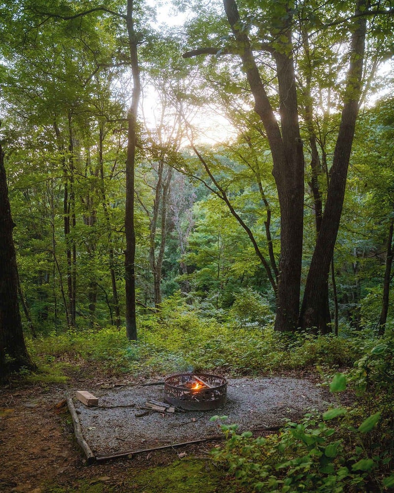 Cheerful Two Bdrm Cabin With Hot Tub & Pet Friendly