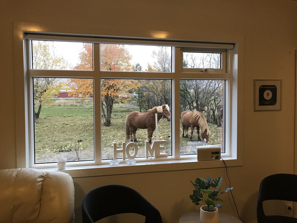 Syðra-Skörðugil Guesthouse