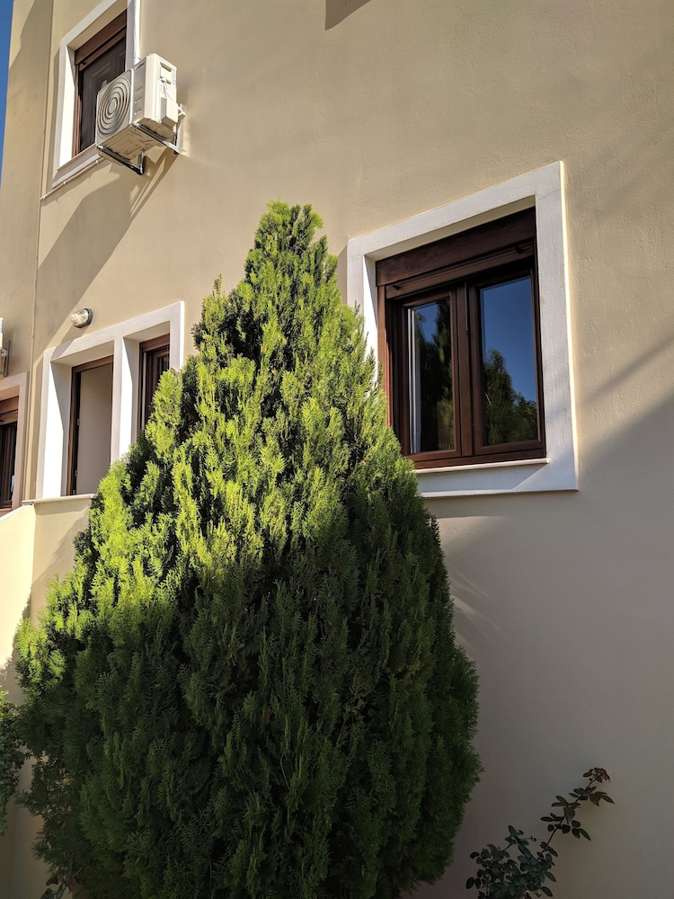 Photo 30