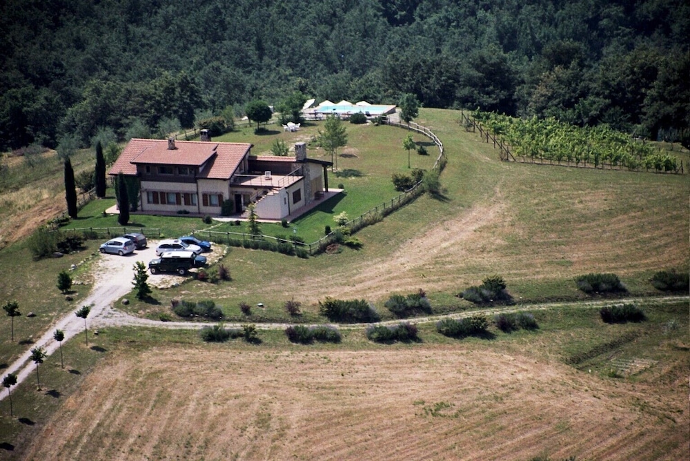 Photo 9
