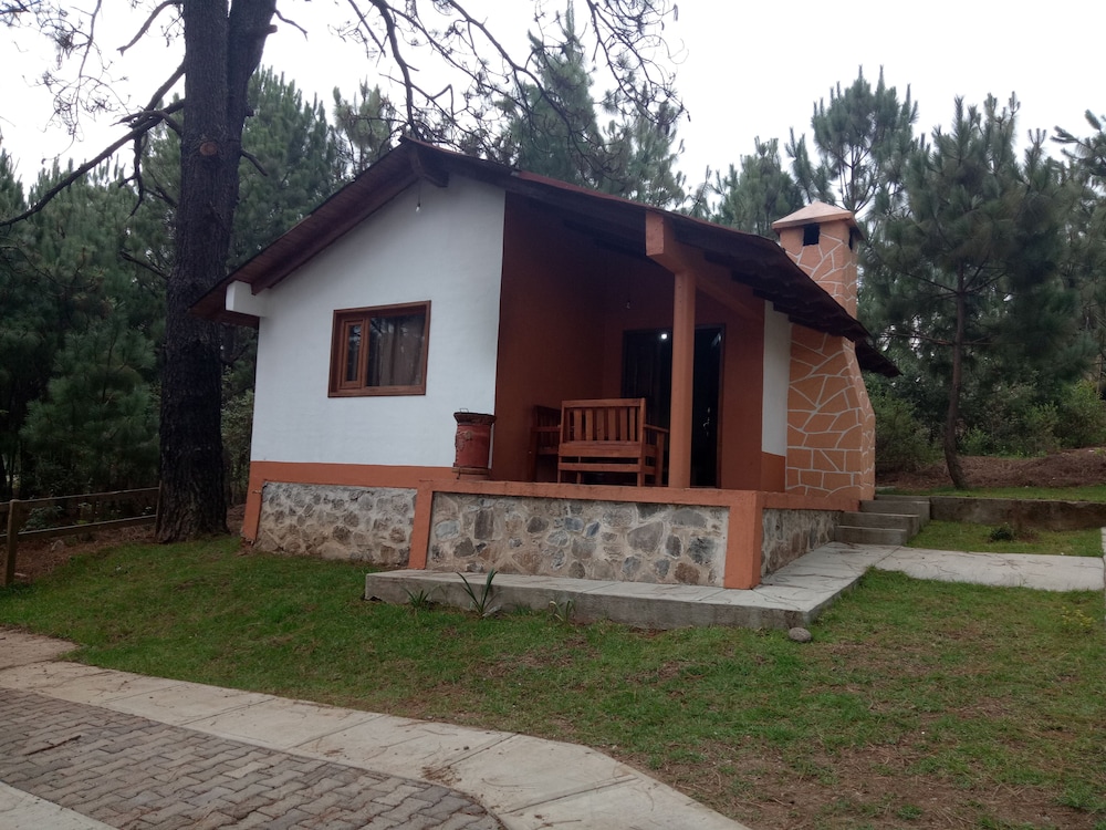 Photo 22