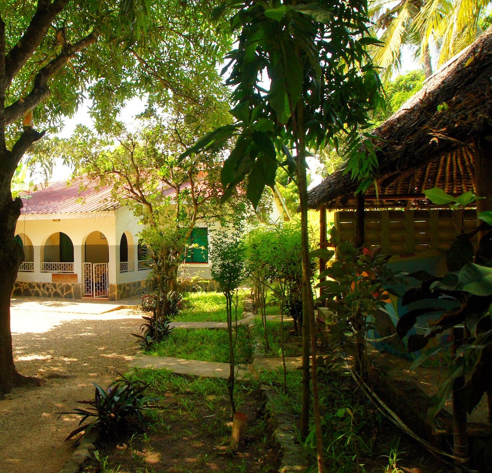 Jamboland-Diani