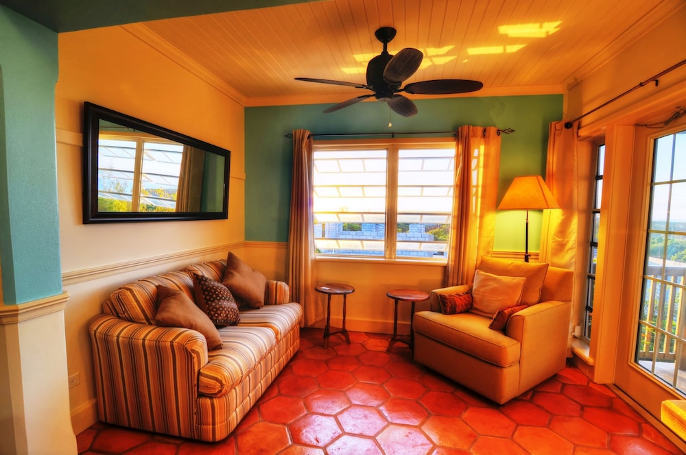 Villa Allamanda - Property Image 43