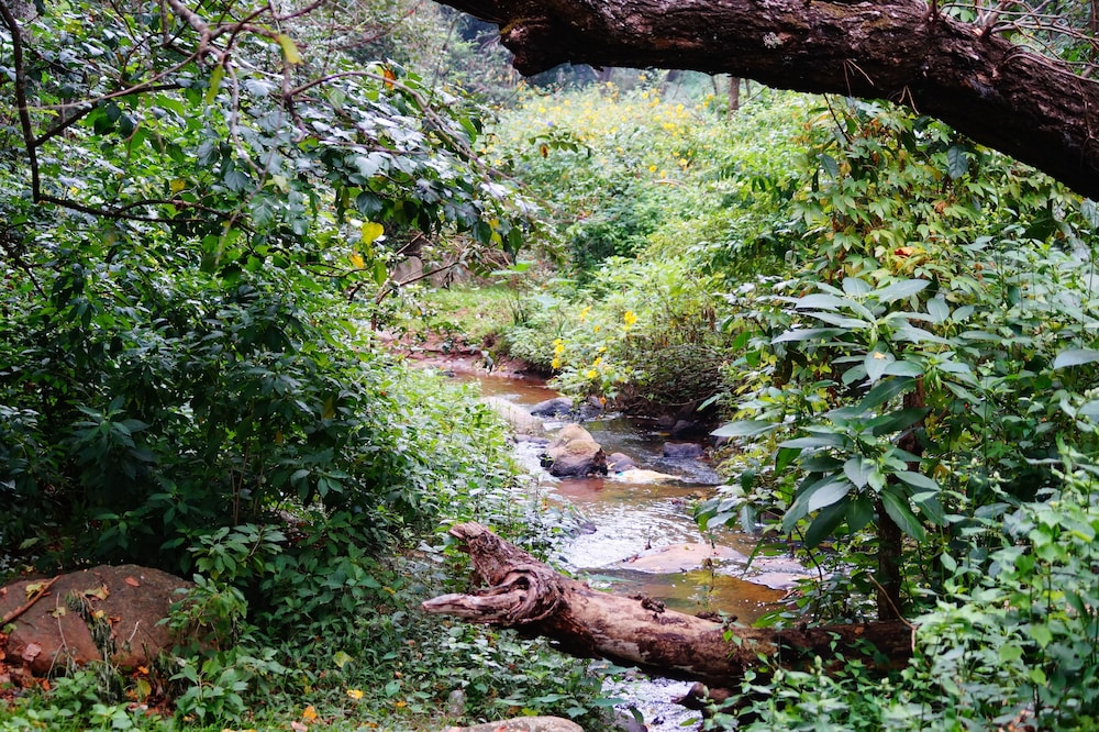 Secret Valley Jungle Resort