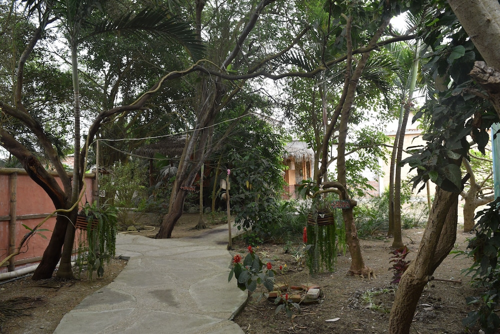 Photo 11