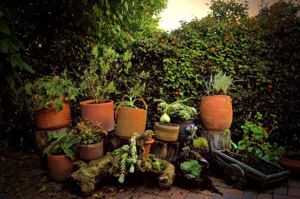Casa Agrreste Bed & Breakfast