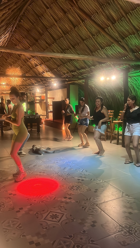 Tree of Life - Hostel