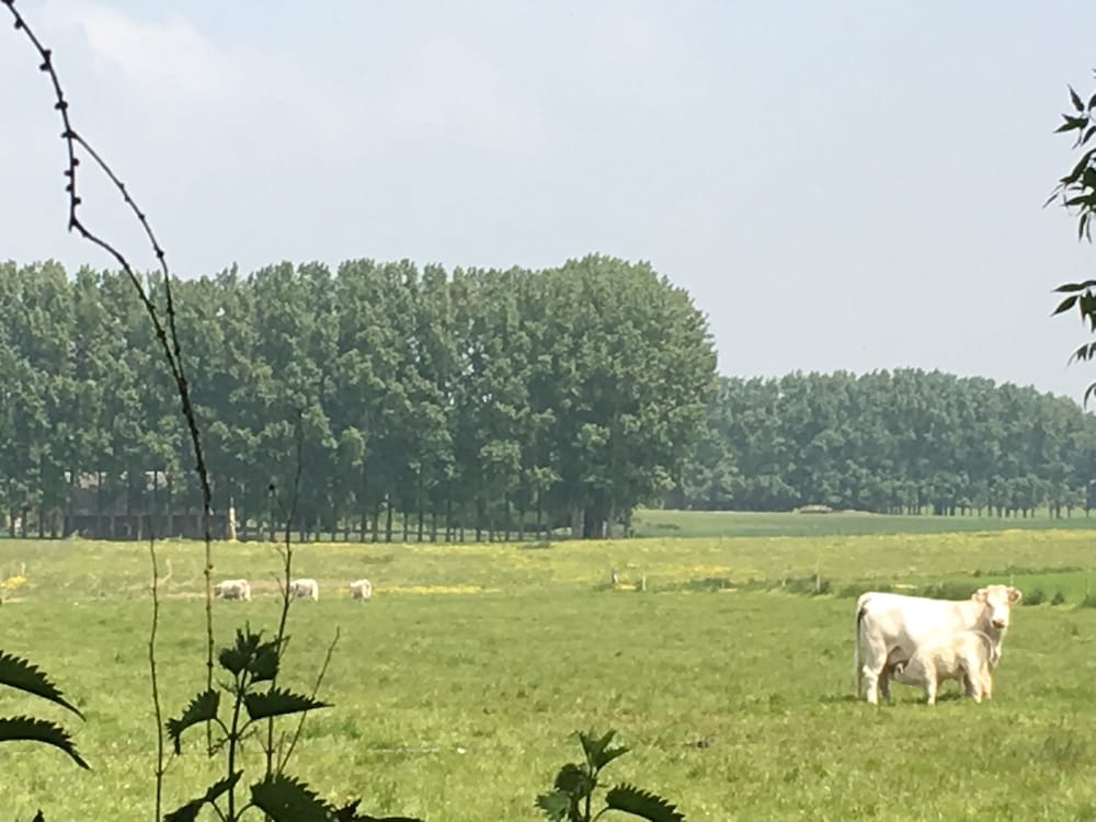 Domaine Château de Bourville