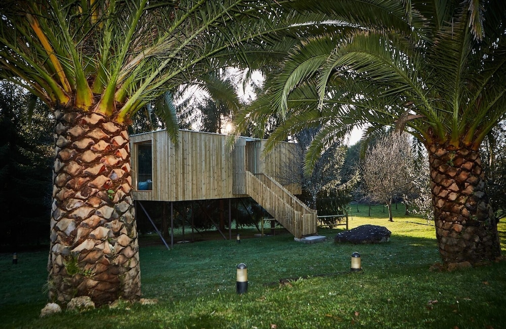 HolaCamp Camino