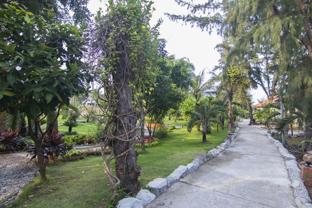 Photo 41