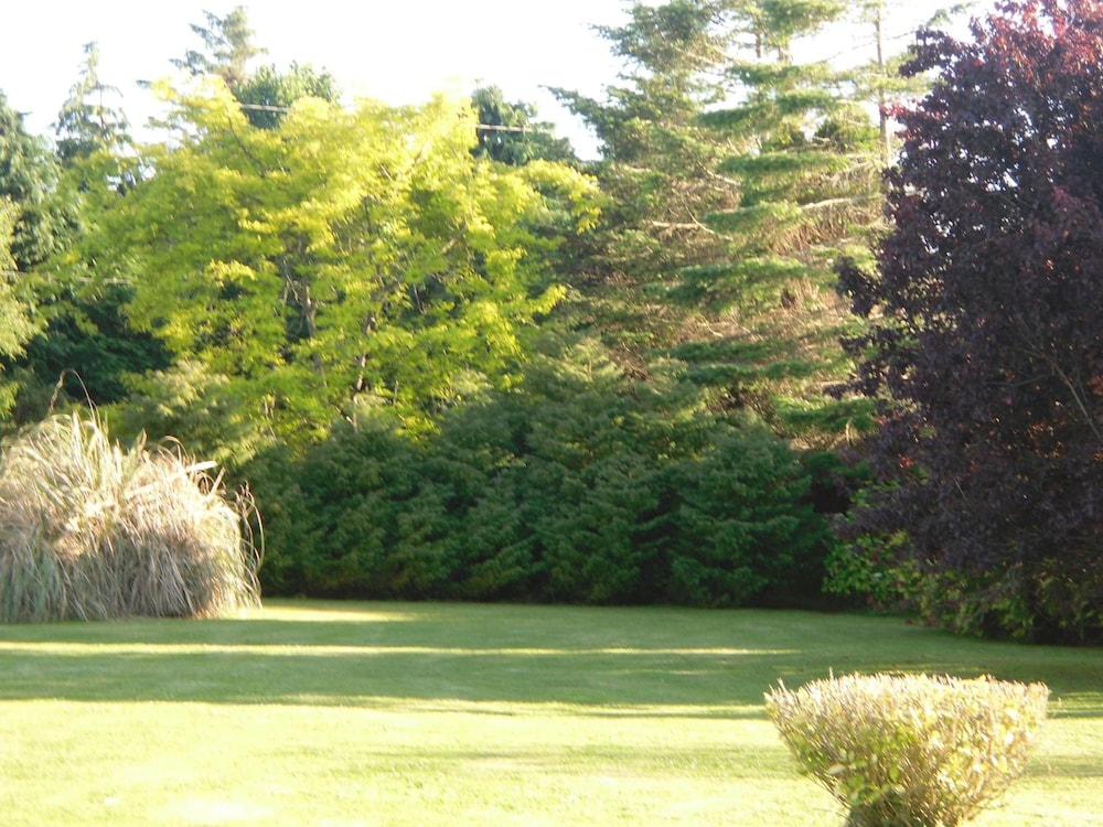 Fern Rock B&B