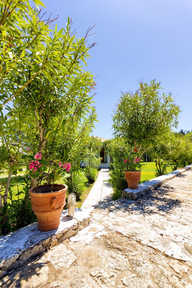 Liuba Houses