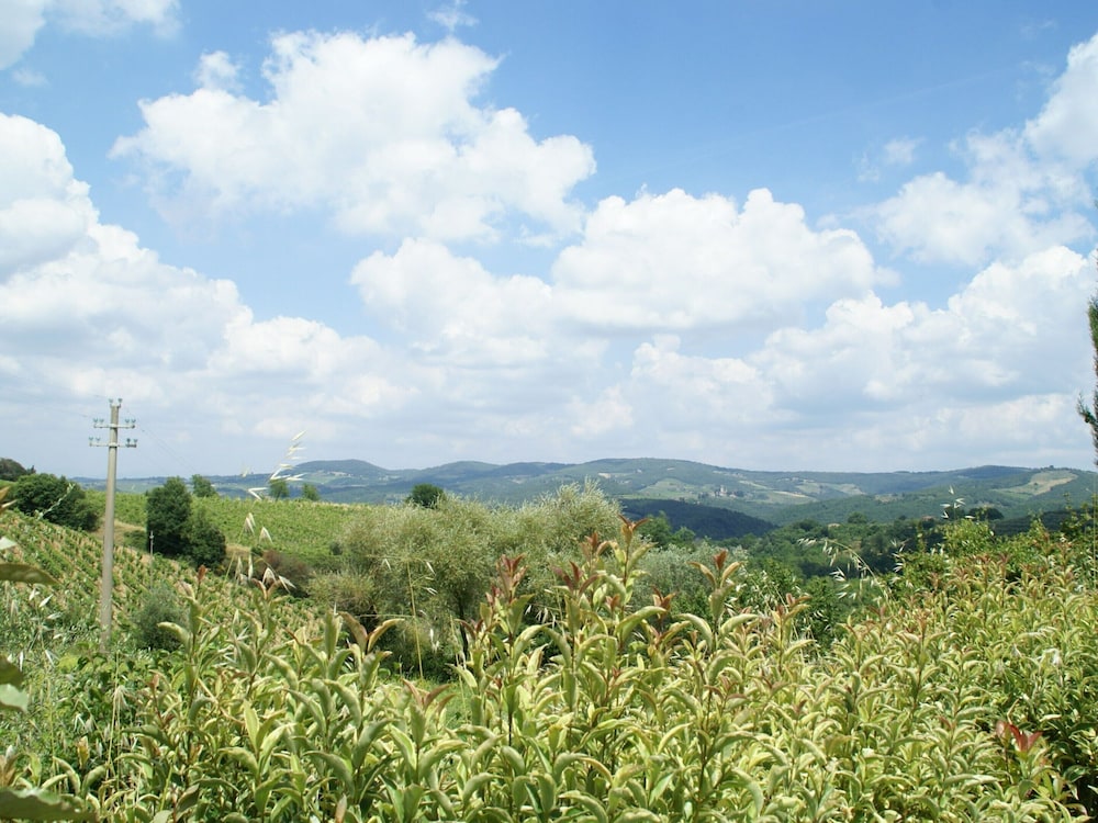 Charming Chianti Retreat view 4