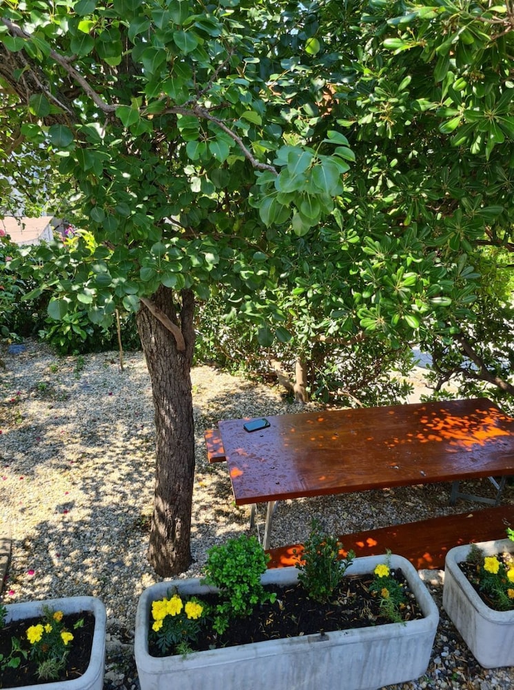 Photo 37