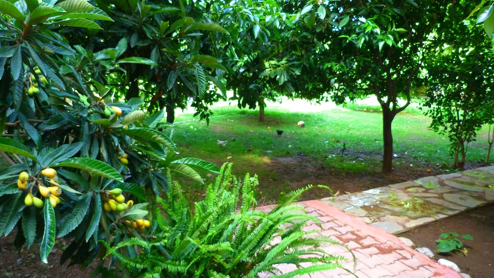 Simge Pansiyon - Image 15