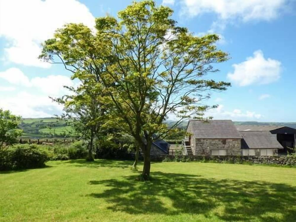 Penuwch Fach